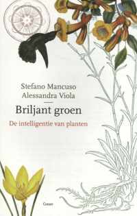 Briljant groen