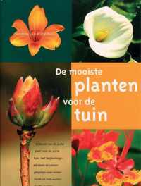 Mooiste Planten Voor De Tuin