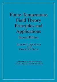 Finite-Temperature Field Theory