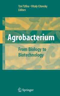 Agrobacterium