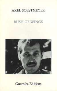 Rush of Wings