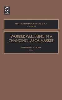 Worker Wellbeing in a Changing Labor Market