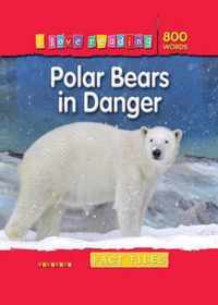 Polar Bears in Danger