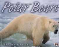 Polar Bears