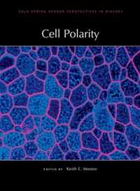 Cell Polarity