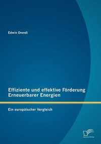 Effiziente und effektive Foerderung Erneuerbarer Energien