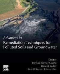 Advances in Remediation Techniques for Polluted Soils and Groundwater