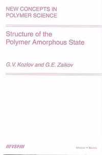 Structure of the Polymer Amorphous State