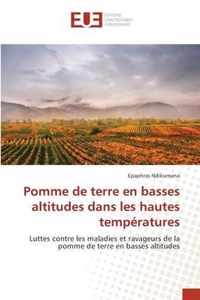 Pomme de terre en basses altitudes dans les hautes temperatures