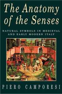 The Anatomy of the Senses