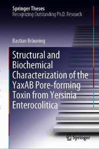 Structural and Biochemical Characterization of the YaxAB Pore-forming Toxin from Yersinia Enterocolitica