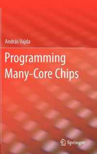 Programming Many-Core Chips