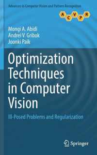 Optimization Techniques in Computer Vision