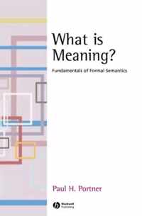 What Is Meaning?