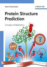 Protein Structure Prediction