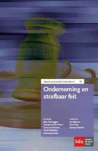 Onderneming en strafbaar feit - Aldo Verbruggen - Paperback (9789012397414)