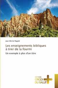 Les Enseignements Bibliques A Tirer de la Fourmi