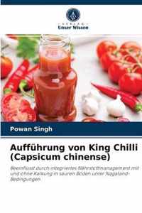 Auffuhrung von King Chilli (Capsicum chinense)