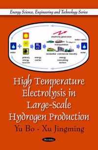 High Temperature Electrolysis in Large-Scale Hydrogen Production