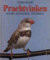 Prachtvinken