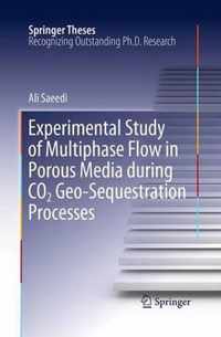 Experimental Study of Multiphase Flow in Porous Media during CO2 Geo-Sequestration Processes