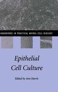 Epithelial Cell Culture