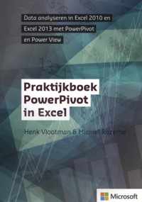 Praktijkboek PowerPivot in Exc