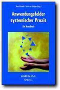 Anwendungsfelder systemischer Praxis