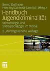 Handbuch Jugendkriminalitat