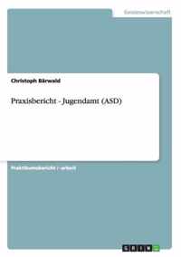 Praxisbericht - Jugendamt (ASD)