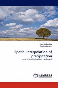 Spatial interpolation of precipitation