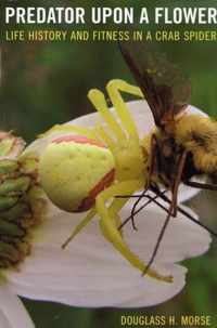 Predator upon a Flower