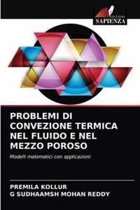 Problemi Di Convezione Termica Nel Fluido E Nel Mezzo Poroso