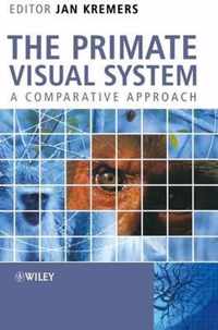 The Primate Visual System