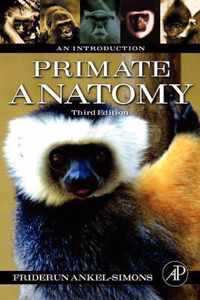 Primate Anatomy