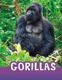 Gorillas