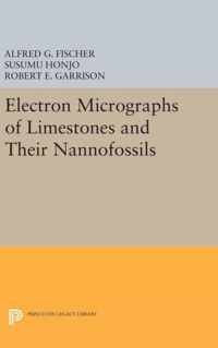 Electron Micrographs of Limestones and Their Nannofossils