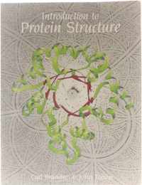 Introduction to Protein Structure