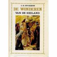 De wonderen van de Heiland