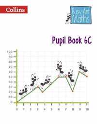 Busy Ant Maths European edition - Pupil Book 6C