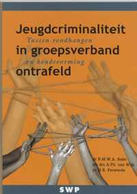 Jeugdcriminaliteit in groepsverband ontrafeld