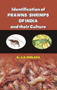 Identification of Prawns/Shrimps and Their Culture