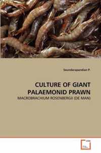 Culture of Giant Palaemonid Prawn