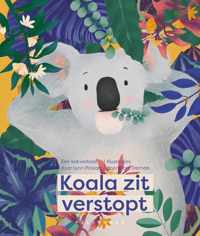 Koala zit verstopt