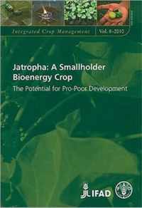 Jatropha