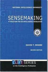 Sensemaking