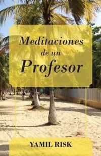 Meditaciones de un Profesor