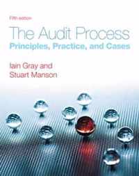 The Audit Process