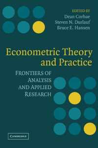 Econometric Theory and Practice