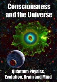 Consciousness and the Universe